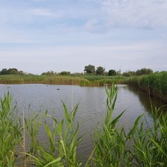 Дом рыбака Протока Кубани, Славянский район, Краснодарский край