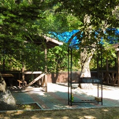 База отдыха Морской берег, Артем, Приморский край