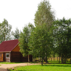 База отдыха Дача-парк Емельяново, Смоленская область