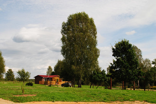Дача-парк Емельяново — фото 4