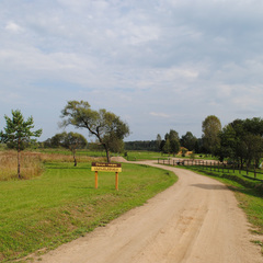 База отдыха Дача-парк Емельяново, Смоленская область
