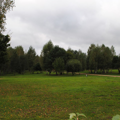 База отдыха Дача-парк Емельяново, Смоленская область