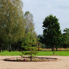 База отдыха Дача-парк Емельяново, Смоленская область