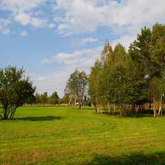 База отдыха Дача-парк Емельяново, Смоленская область