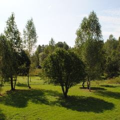 База отдыха Дача-парк Емельяново, Смоленская область