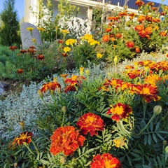 Дом отдыха Уютный домик в Сосново , Поселок Сосново, Ленинградская область