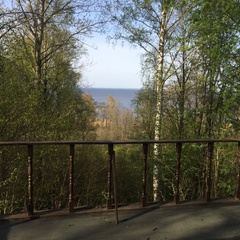 База отдыха Дубки, Ломоносовский район, Ленинградская область