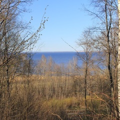 База отдыха Дубки, Ломоносовский район, Ленинградская область