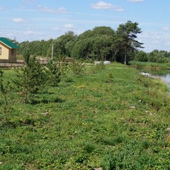 Гостевой комплекс Лёкшма-Речка, Город Каргополь, Архангельская область