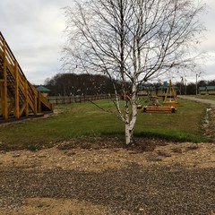 Гостевой комплекс Лёкшма-Речка, Город Каргополь, Архангельская область