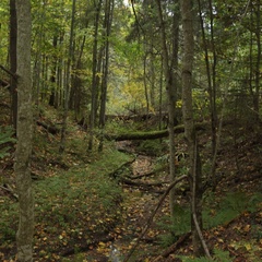 Глэмпинг Четыре сезона, Клин, Московская область