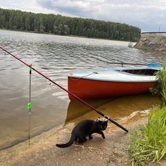 Глэмпинг Четыре сезона, Клин, Московская область