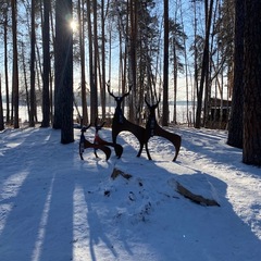 Апартаменты Еловое, Чебаркуль, Челябинская область