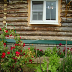 Гостевой дом Бревенчатый, Осташков, Тверская область