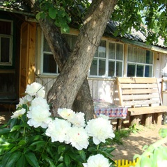 Гостевой дом Бревенчатый, Осташков, Тверская область