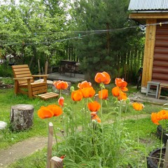 Гостевой дом Бревенчатый, Осташков, Тверская область