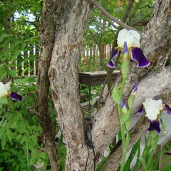 Гостевой дом Бревенчатый, Осташков, Тверская область