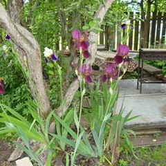 Гостевой дом Бревенчатый, Осташков, Тверская область