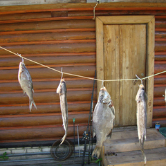 Гостевой дом Бревенчатый, Осташков, Тверская область