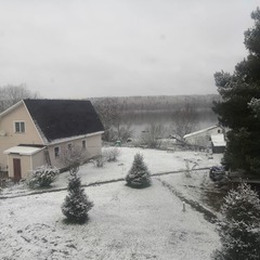 База отдыха и рыбалки Плотично, Ленинградская область