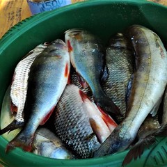 Гостевой дом с камином у озера, Селижаровский район, Тверская область