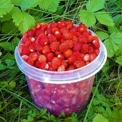 Гостевой дом с камином у озера, Селижаровский район, Тверская область