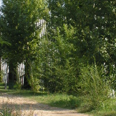 Туристическая база Волга, Саратов, Саратовская область