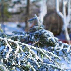 Гостевой дом Комета - Кантри Клаб, Владивосток, Приморский край
