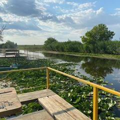 База отдыха У Саши, Наримановский район, Архангельская область