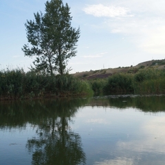 База отдыха Тихая заводь, Константиновский район, Ростовская область