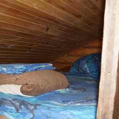 База отдыха Тихая заводь, Константиновский район, Ростовская область