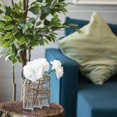 Гостевой дом Пятый сезон, Всеволожский район, Ленинградская область