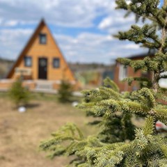 Гостевой дом Пятый сезон, Всеволожский район, Ленинградская область