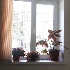 Гостевой дом Терскол 07, Терскол, Республика Кабардино-Балкария