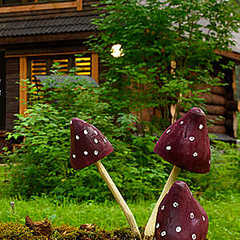 Гостинично-туристический комплекс Таёжный угол, Бирюзовая Катунь, Алтайский край