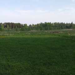 База отдыха и рыбалки Жуковка, Волоколамский район, Московская область