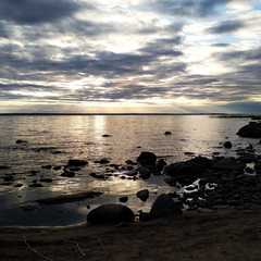 База отдыха и рыбалки Жуковка, Волоколамский район, Московская область