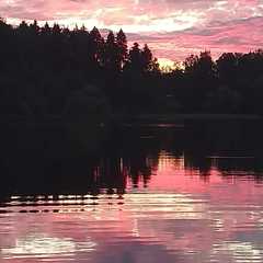 База отдыха и рыбалки Жуковка, Волоколамский район, Московская область
