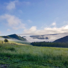 Парк-отель Лесная сказка, Солонешенский район, Алтайский край
