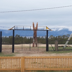 База отдыха Звезда кочевника, Хужир, Иркутская область