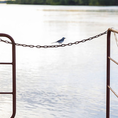 Плавбаза Рыбный дом, Иванчуг, Астраханская область