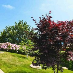 Оздоровительный комплекс Крымский Бриз Hotel&Villas, Ялта, Крым
