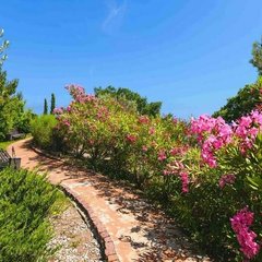 Оздоровительный комплекс Крымский Бриз Hotel&Villas, Ялта, Крым