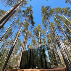 Глэмпинг Forest Lake, Выборгский район, Ленинградская область