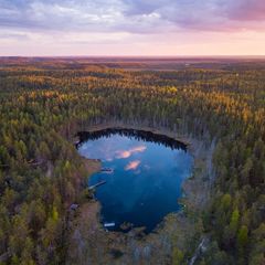 Глэмпинг Forest Lake, Выборгский район, Ленинградская область