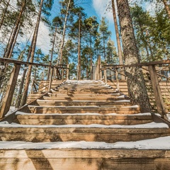 Глэмпинг Forest Lake, Выборгский район, Ленинградская область