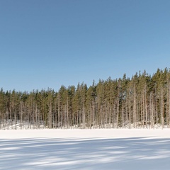 Глэмпинг Forest Lake, Выборгский район, Ленинградская область