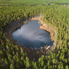 Глэмпинг Forest Lake, Выборгский район, Ленинградская область