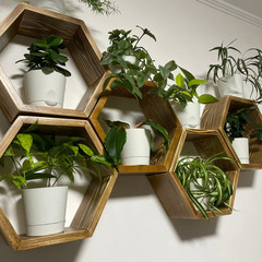 База отдыха Приозерье, Мостовский район, Краснодарский край