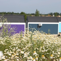 Кемпинг  Лисья Гора, Новгородский район, Новгородская область